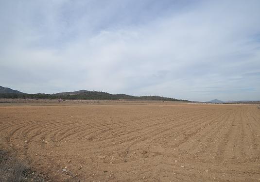Land in Monóvar/Monóver