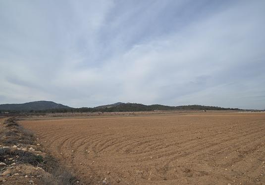 Land in Monóvar/Monóver