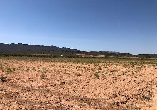 Land in Yecla