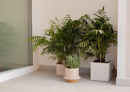 Apartment in Palma - Son Espanyolet