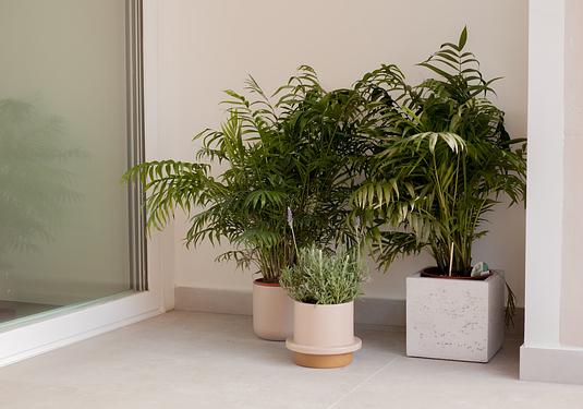 Apartment in Palma - Son Espanyolet