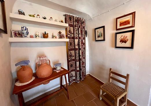 Country house in Barinas