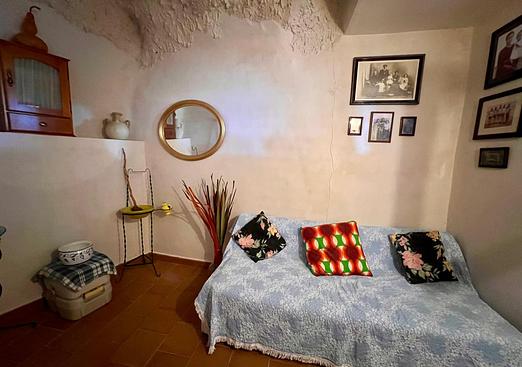 Country house in Barinas