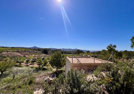 Country house in Barinas