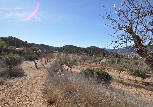 Country house in Monóvar/Monóver