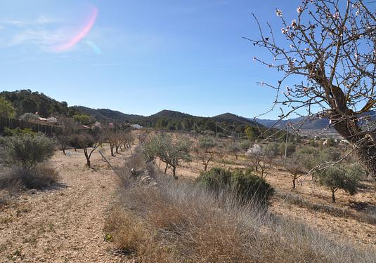 Country house in Monóvar/Monóver