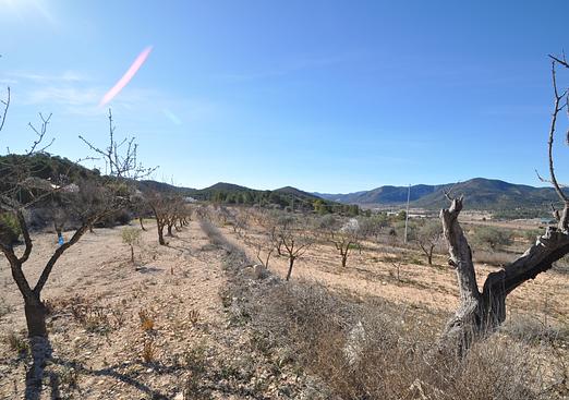 Country house in Monóvar/Monóver