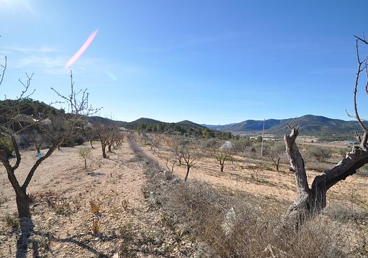 Country house in Monóvar/Monóver