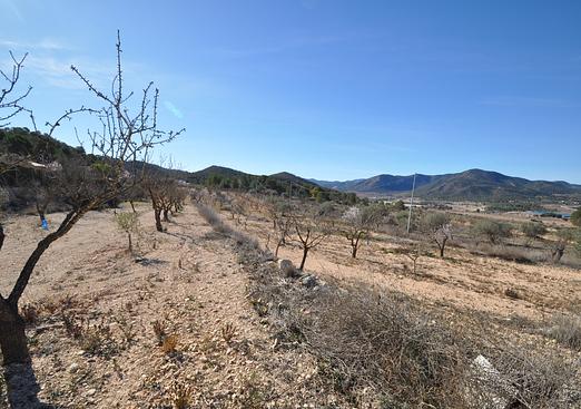 Country house in Monóvar/Monóver
