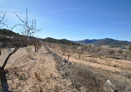 Country house in Monóvar/Monóver