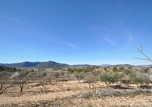 Country house in Monóvar/Monóver