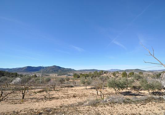 Country house in Monóvar/Monóver