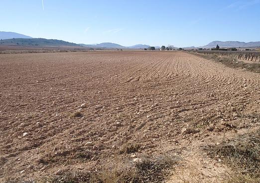 Land in Yecla
