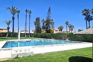 thumb 43
