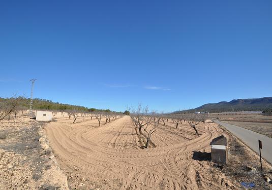 Land in Monóvar/Monóver