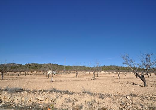 Land in Monóvar/Monóver