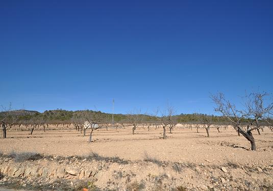 Land in Monóvar/Monóver