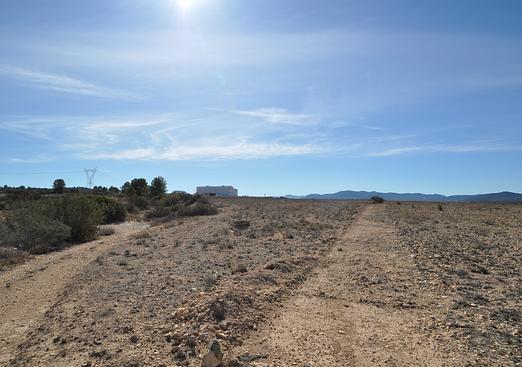 Land in Monóvar/Monóver