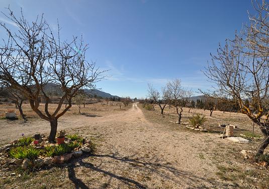 Country house in Salinas