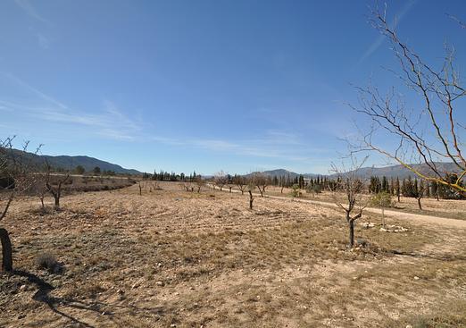 Country house in Salinas