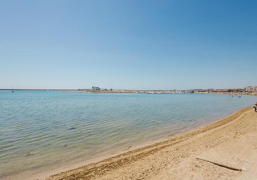 Apartment in Torrevieja