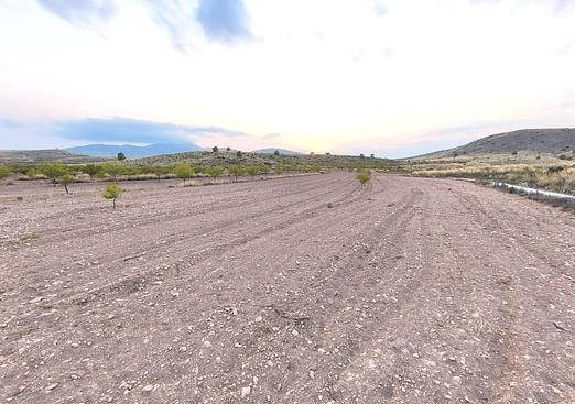 Land in Pinoso