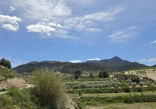 Country house in La Zarza
