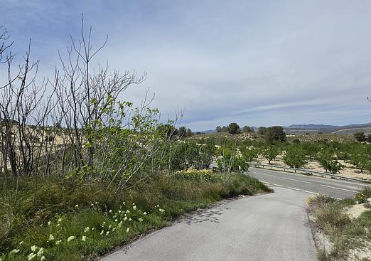Country house in La Zarza