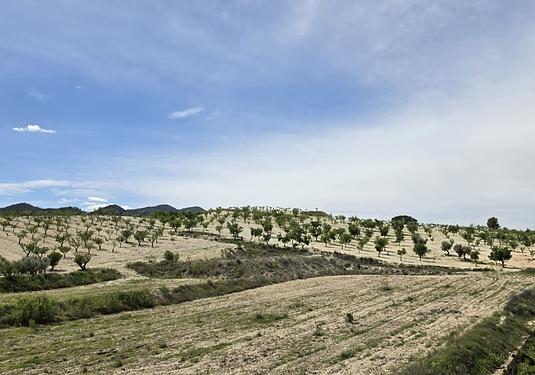 Country house in La Zarza