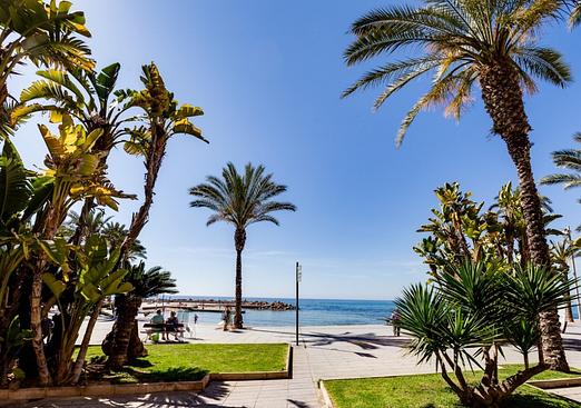 Apartment in Torrevieja