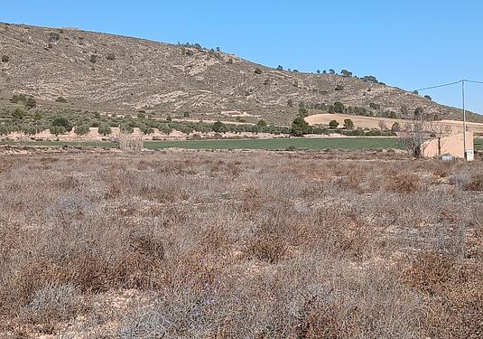 Land in Yecla