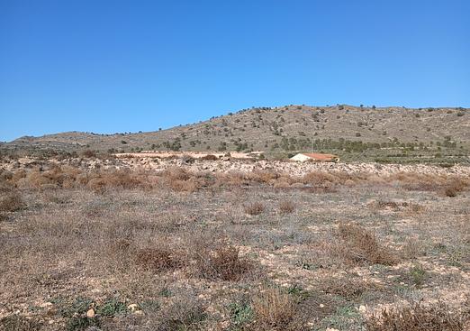 Land in Yecla
