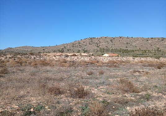 Land in Yecla