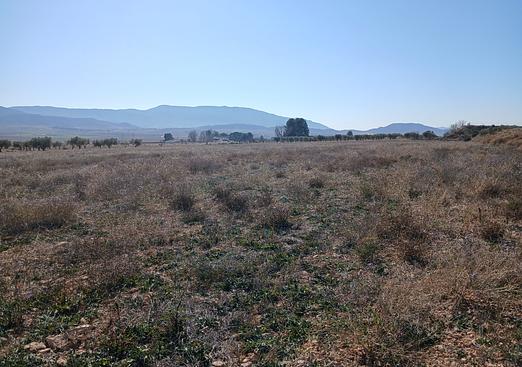Land in Yecla