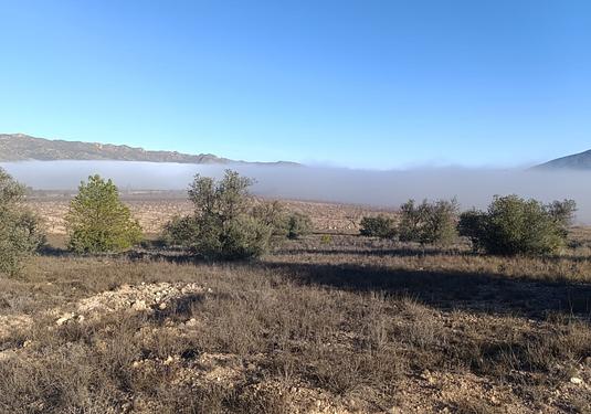 Land in Yecla