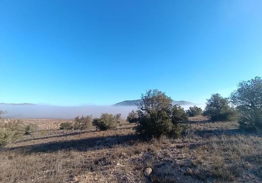 Land in Yecla