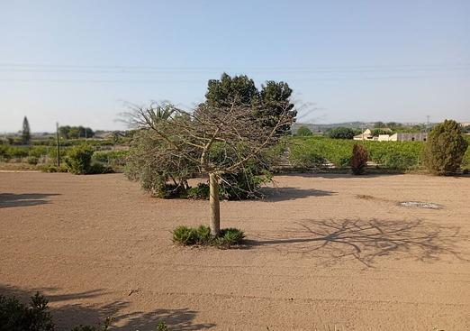 Villa in Daya Nueva
