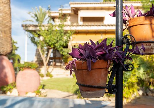 Villa in Alicante