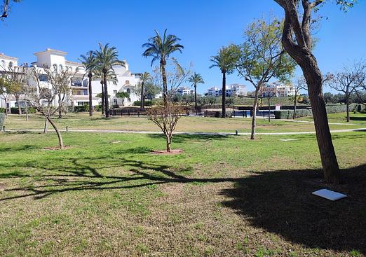 Apartment in Hacienda Riquelme Golf Resort