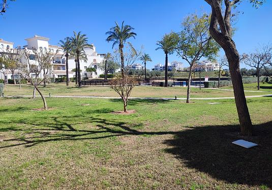 Apartment in Hacienda Riquelme Golf Resort