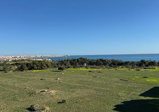 Apartment in Torrevieja