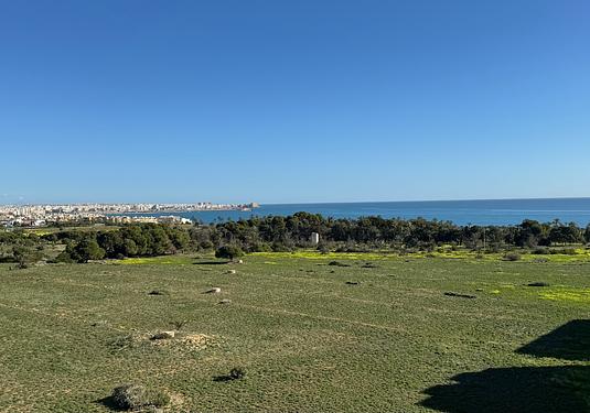 Apartment in Torrevieja