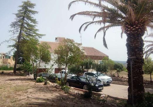Commercial in Ayora