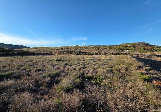 Land in Yecla