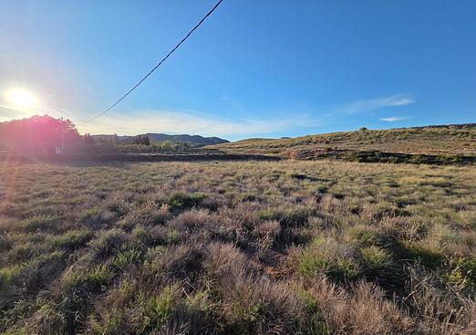 Land in Yecla