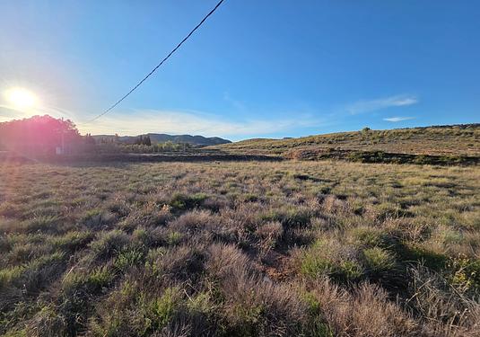 Land in Yecla
