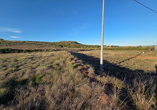 Land in Yecla