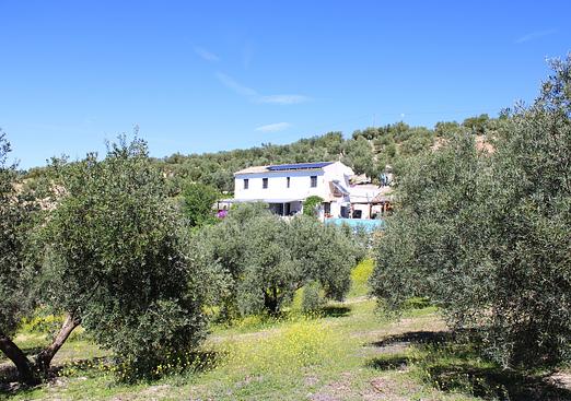 Country house in Salar