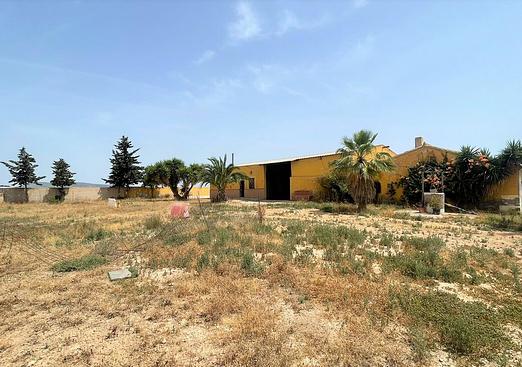 Commercial in Balsicas