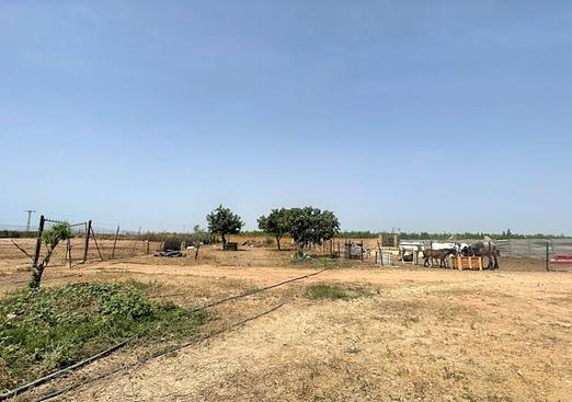 Commercial in Balsicas